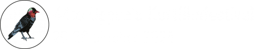 uppsalakff2025_färgvit_web (1).png